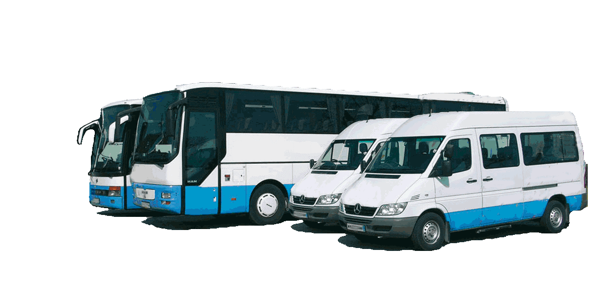 Hos Bus rental Vienna coach transfers Austria kan du reservere minibus til city tours I Wien